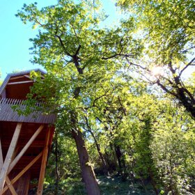 Bon cadeau Cabane dans les arbres Lyon