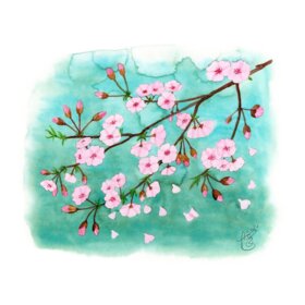 Bon cadeau Massage Paris