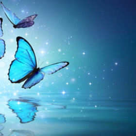 Bon cadeau HypnoseSeine-Maritime