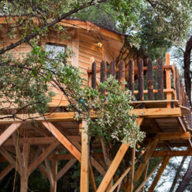 Bon cadeau Cabane dans les arbresVar
