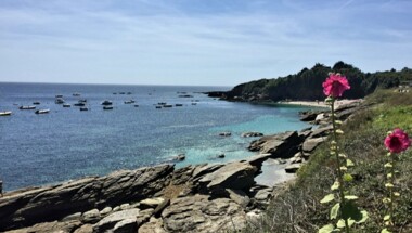 Location Voiture : Découvrez la beauté de l'île de Groix à bord d'une Fiat 500 ...