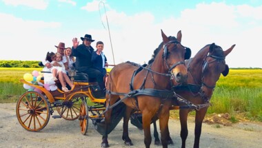 Balade en calèche dans la campagne augeronne 1h30