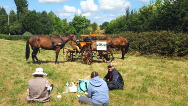 Journée pique-nique en calèche dans la campagne augeronne