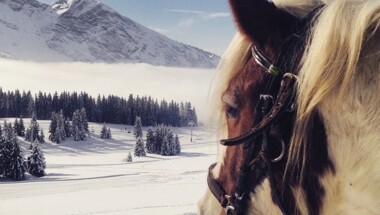 Ski joering 1h classique
