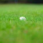 Green Fee