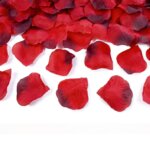 Pétales de roses