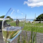 Coupes de Champagne