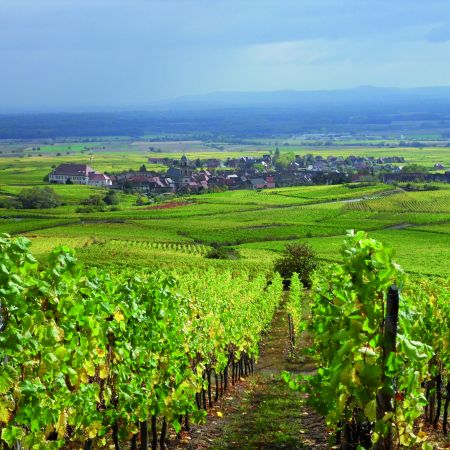 Séjour Alsace
