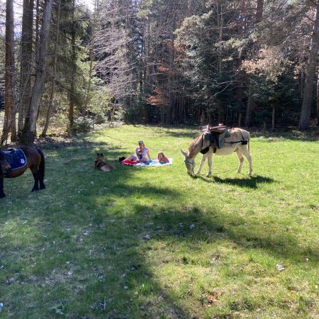 Journée balade en âne baté