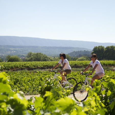 Chèque Cadeau pour une prestation à vélo personnalisée
