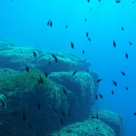 Scuba Diver Flash (3 technical dives + fun dives)