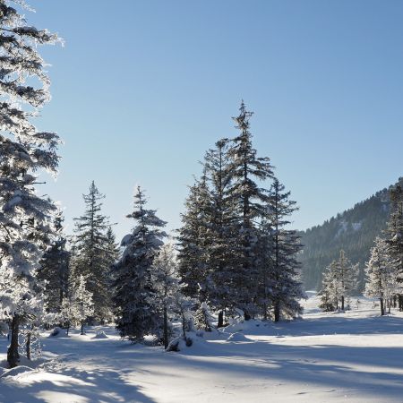 Montagne Aventure