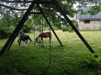 2 nuits en famille proche de la nature image 1
