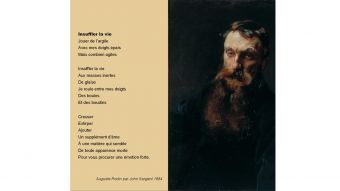 "RODIN, La vie à pleines mains" Biographie Multimédia image 3