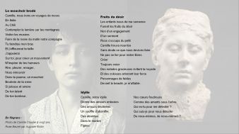 "RODIN, La vie à pleines mains" Biographie Multimédia image 7