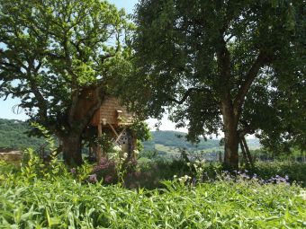 Séjour insolite en Cabane Perchée chez un paysan vigneron dans le vignoble de Château Chalon image 11