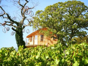 Séjour insolite en Cabane Perchée chez un paysan vigneron dans le vignoble de Château Chalon image 1
