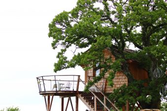 Séjour insolite en Cabane Perchée chez un paysan vigneron dans le vignoble de Château Chalon image 8