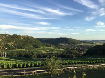 Séjour insolite en Cabane Perchée chez un paysan vigneron dans le vignoble de Château Chalon image 9