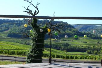 Séjour insolite en Cabane Perchée chez un paysan vigneron dans le vignoble de Château Chalon image 6