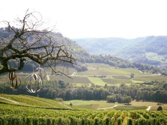 Séjour en chambre d'hôte au coeur du vignoble de Château-chalon chez un paysan vigneron image 1