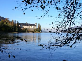 Croisière Lac Sauvage avec Menu ROSEAU  - Aix-Les-Bains image 3