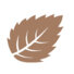Logo Cosy Nature