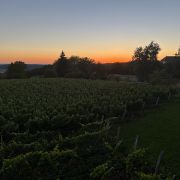 Image de Merci